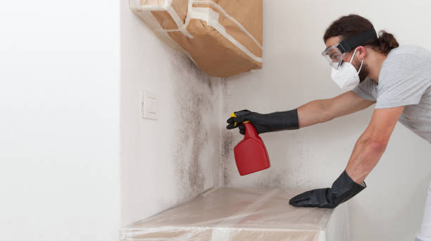 Professional Mold Remediation technician working in Winthrop, MN