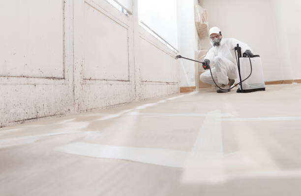 24/7 Emergency Mold Remediation experts in Winthrop, MN